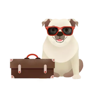 Safe Pet Boarding Solutions in Lebanon - Licensed Caregivers