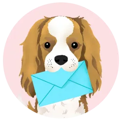 Weekly Pet Care Updates in Lebanon - Sidelick Newsletter