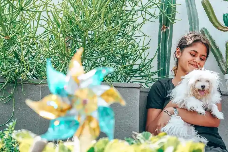 Sidelick Mobile App Coming Soon - Pet Care Services in Lebanon