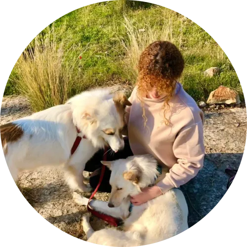 Certified Pet Safety in Lebanon - Insured & Background-Checked Sitters