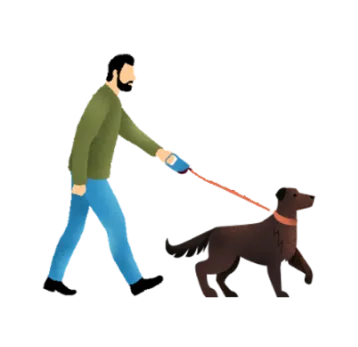 Professional Dog Walking Service in Lebanon - Certified Pet Care