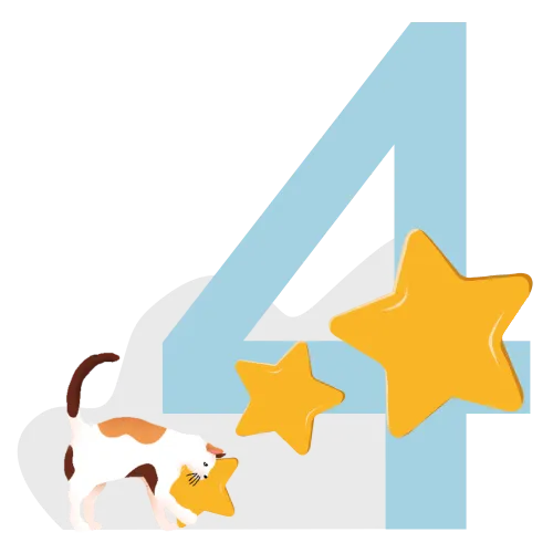 Pet care reviews and feedback in Lebanon