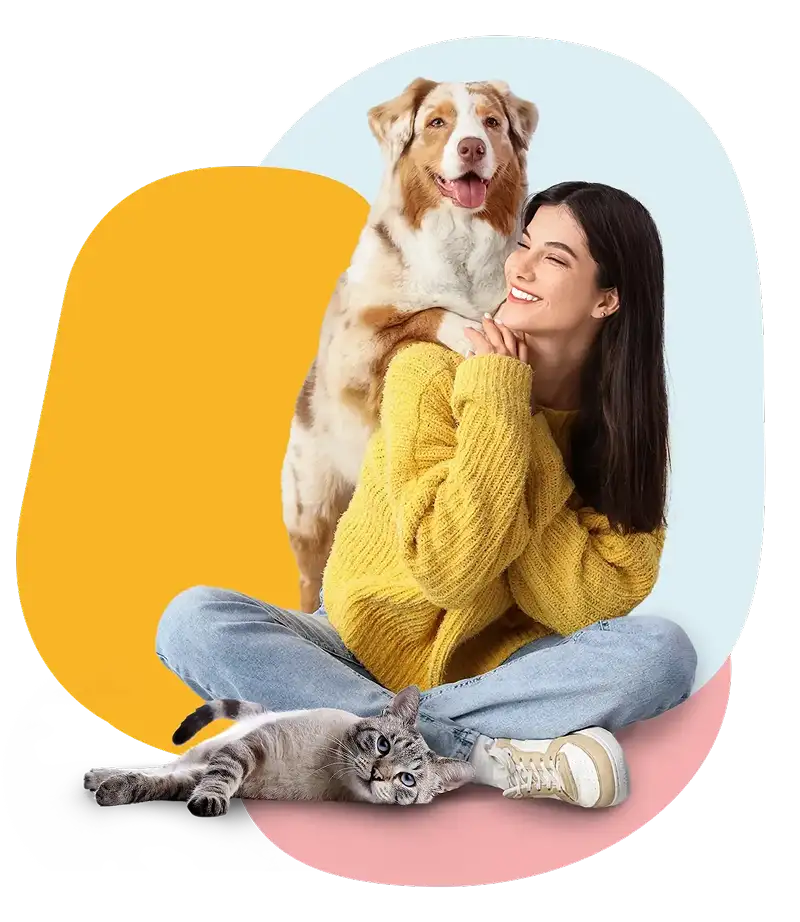 Professional pet care services in Lebanon - Dogs and cats with sitters